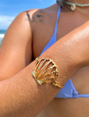 Pulseira Concha Vazada 69mm Banhada a Ouro e Verniz Italiano